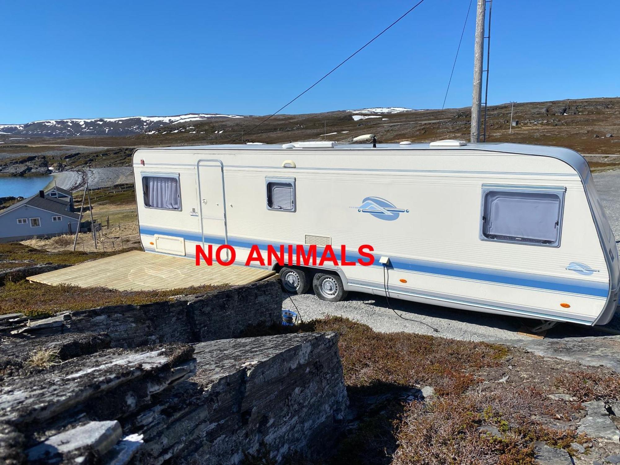 Repvag Overnatting Nordkapp Zimmer foto